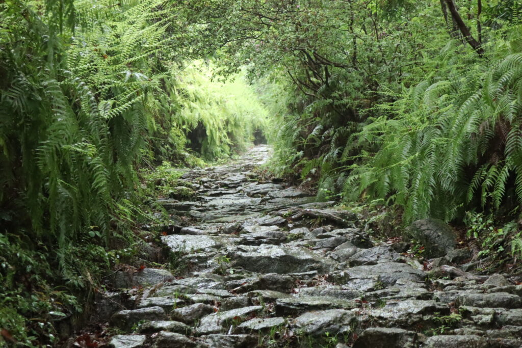 熊野古道馬越峠